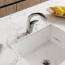 Смеситель для кухни WASSERKRAFT AMPER 2907